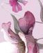 Комплект постельного белья Fleurette Blumarine Fleurette Blumarine фото 2