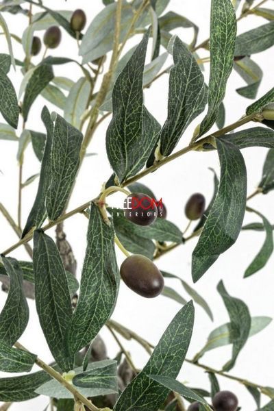 Искусственное растение OLIVE PLANT Bizzotto OLIVE PLANT Bizzotto фото