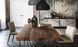 Стіл GORDON Deep Wood Cattelan Italia GORDON Deep Wood фото 3