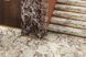 Керамограніт Breccia Medicea MARMI MAXFINE FMG MAXFINE MARMI Breccia Medicea фото 3