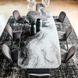 Стіл STRATOS Crystalart Cattelan Italia STRATOS Crystalart фото 3