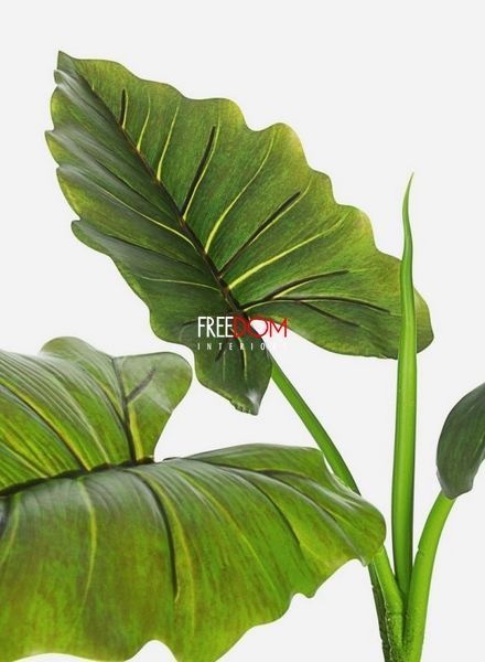 Искусственное растение DIEFFENBACHIA Bizzotto DIEFFENBACHIA Bizzotto фото